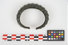 Foto von Bronzemelonenarmreif (NHMW-PRAE-026325)
